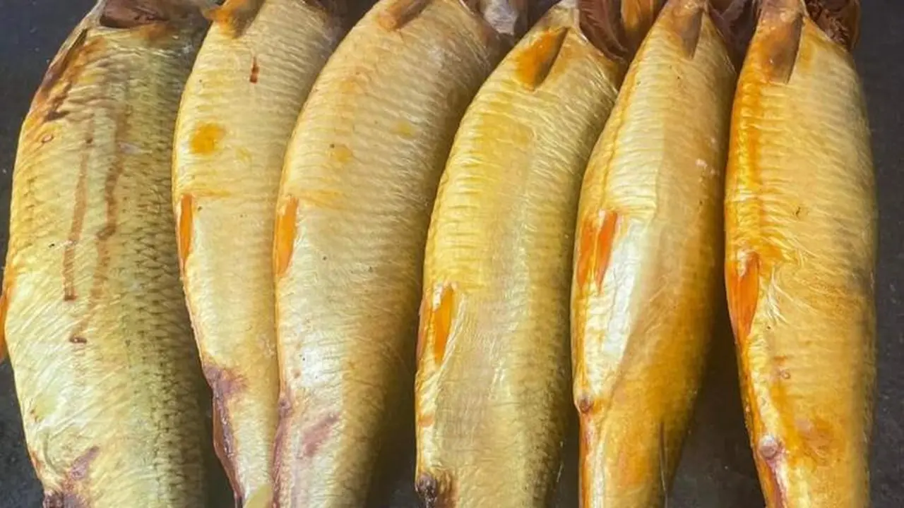 أسعار الفسيخ والرنجة اليوم في الأسواق.. تعرف على بدايتها من كام